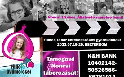 Ismerjétek meg a kis fügéket, akik velünk táboroznak 2023-ban!